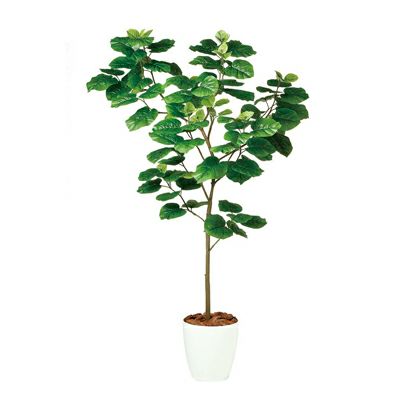 観葉植物 人工 樹木 ウンベラータ FST 高さ1800mm Lサイズ 鉢:RP-300 完成品
