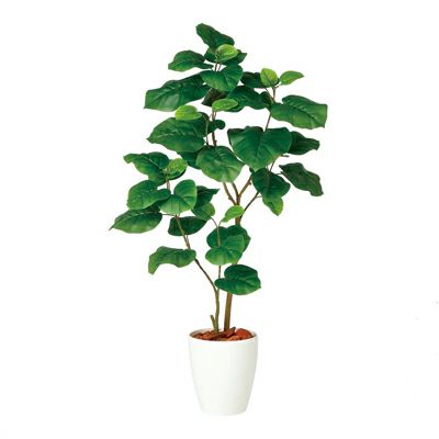 観葉植物 人工 樹木 ウンベラータ FST2本 高さ1200mm Sワイドサイズ 鉢:RP-225 完成品