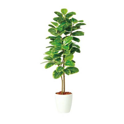観葉植物 人工 樹木 アルテシマ 高さ1500mm Mサイズ 鉢:RP-265 完成品