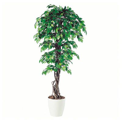 観葉植物 人工 樹木 フィッカスベンジャミナリアナ 高さ1800mm Lサイズ 鉢:RP-300 完成品