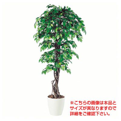 観葉植物 人工 樹木 フィッカスベンジャミナリアナ 高さ1500mm Mサイズ 鉢:RP-300 完成品