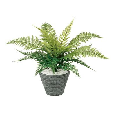 観葉植物 人工 樹木 レザーファン 高さ350mm Pサイズ 鉢:PラウンドS(BK) 完成品