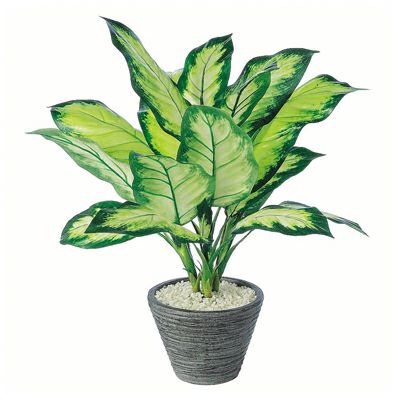 観葉植物 人工 樹木 ディフェンバギアカミーラ 高さ500mm Pサイズ 鉢:PラウンドS(BK) 完成品