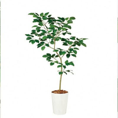 観葉植物 人工 樹木 ベンガルボダイジュ FST 高さ1800mm Lサイズ 鉢:クォーツ300 完成品