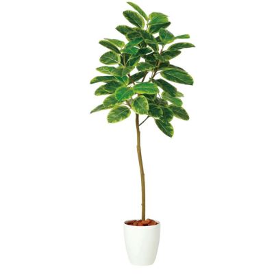 観葉植物 人工 樹木 アルテシマ FST 高さ1500mm Mサイズ 鉢:RP-225 完成品