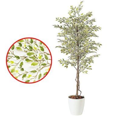観葉植物 人工 樹木 ベンジャミナスターライト 高さ1800mm Lサイズ 鉢:RP-300 完成品