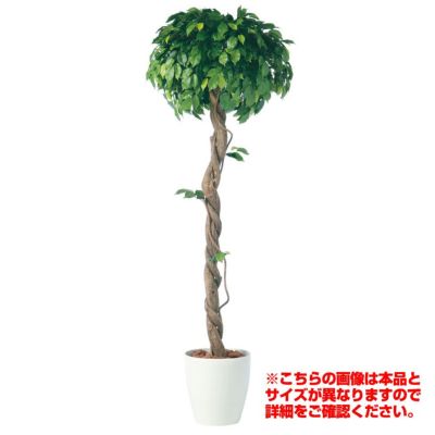 観葉植物 人工 樹木 モンステラバイン 高さ1500mm Mサイズ 鉢:RP-300