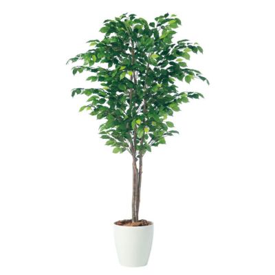 観葉植物 人工 樹木 フィッカスベンジャミナトリプル 高さ1800mm Lサイズ 鉢:RP-300 完成品