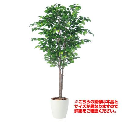 観葉植物 人工 樹木 アルテシマ 高さ1500mm Mサイズ 鉢:RP-265 完成品