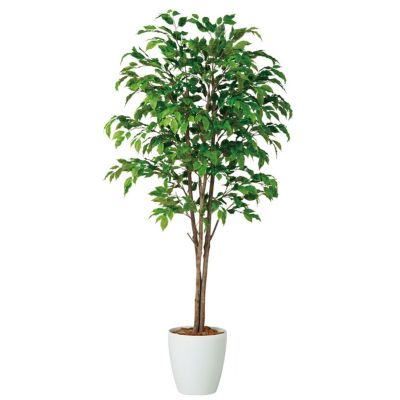 観葉植物 人工 樹木 ベンジャミナスプラッシュトリプル 高さ1800mm Lサイズ 鉢:RP-300 完成品