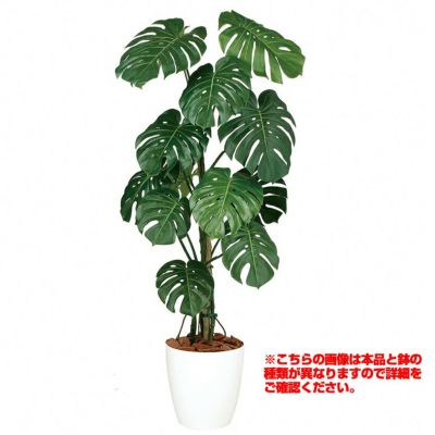 観葉植物 人工 樹木 モンステラバイン 高さ1500mm Mサイズ 鉢:簡易ポット 完成品