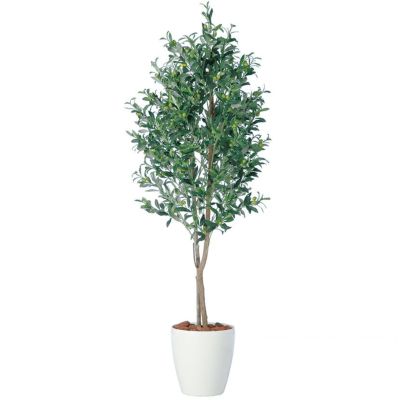 観葉植物 人工 樹木 ライプオリーブデュアル 高さ1800mm Lサイズ 鉢:RP-300 完成品
