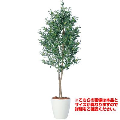 観葉植物 人工 樹木 ライプオリーブデュアル 高さ1500mm Mサイズ 鉢:RP-265 完成品