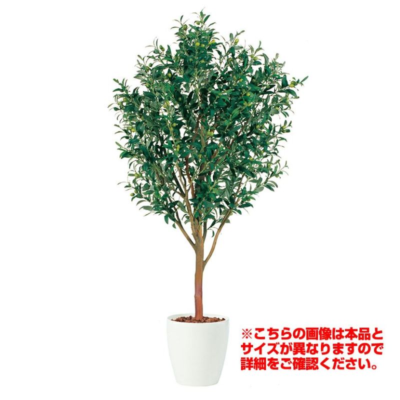 観葉植物 人工 樹木 ライプオリーブ 高さ1500mm Mサイズ 鉢:RP-300 完成品 | 暮らしのデザイン