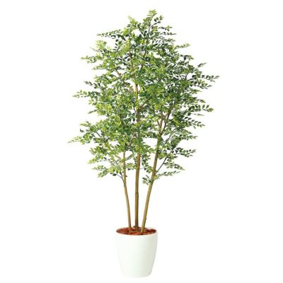 観葉植物 人工 樹木 ゴールデンリーフ FST 高さ1800mm Lサイズ 鉢:RP-300 完成品