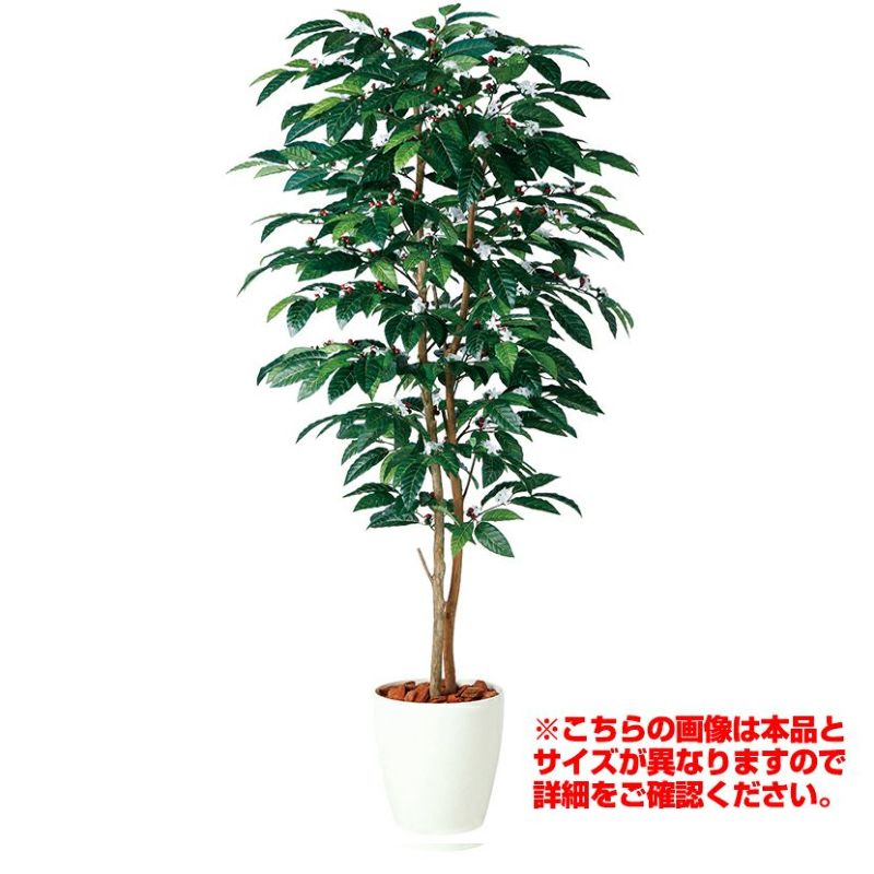 観葉植物 人工 樹木 コーヒーデュアル 高さ1500mm Mサイズ 鉢:RP-265 | 暮らしのデザイン