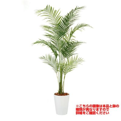 観葉植物 人工 樹木 アレカヤシ PE 高さ1700mm Mサイズ 鉢:簡易ポット