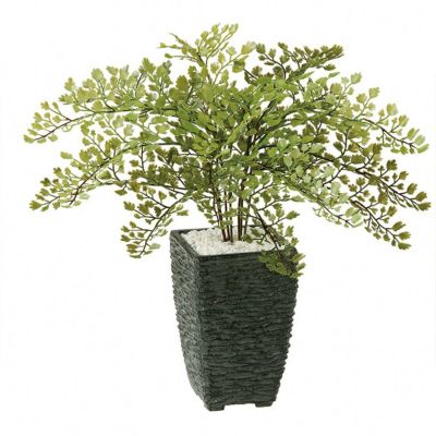 観葉植物 人工 樹木 アジアンタム 高さ300mm Pサイズ 鉢:Pスクエア(BK) 完成品