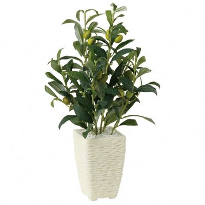観葉植物 人工 樹木 ライプオリーブ 高さ400mm Pサイズ 鉢:Pスクエア(WH) 完成品