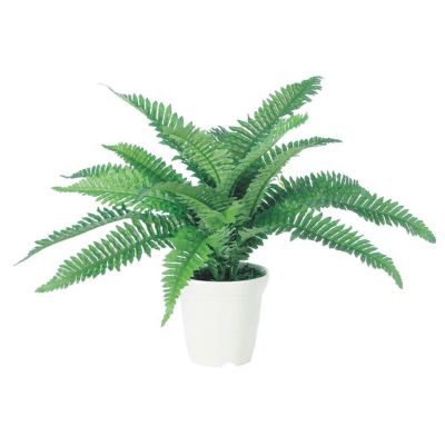 観葉植物 人工 樹木 ボストンファンM 高さ350mm Pサイズ 鉢:CV-04 完成品