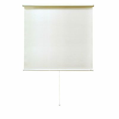 シングルロールスクリーン ビスタイプ 幅600mm×高さ1900mm ビス取り付け スプリング巻き上げ 完成品