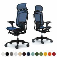 CC85MS | コンテッサ セコンダ エクストラハイバック 大型固定ヘッドレスト 座メッシュ アジャストアーム ブラックフレーム ブラックボディ ランバーサポート付 オカムラ｜¥239,400の動画