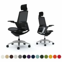 C78ABS | フィノラ エクストラハイバック 座メッシュ アジャストアーム メッキパネル ポリッシュ脚 ブラックボディ ランバーサポート付 オカムラ｜¥222,900の動画