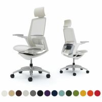 C78ABZ | フィノラ エクストラハイバック 座メッシュ アジャストアーム メッキパネル ポリッシュ脚 ホワイトボディ ランバーサポート付オカムラ｜¥212,200の動画