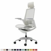 C78ABZ | フィノラ エクストラハイバック 座メッシュ アジャストアーム メッキパネル ポリッシュ脚 ホワイトボディ ランバーサポート付オカムラ｜¥212,200の動画
