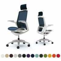 C78ACZ | フィノラ エクストラハイバック 座メッシュ アジャストアーム ホワイトパネル ポリッシュ脚 ホワイトボディ ランバーサポート付 オカムラ｜¥216,800の動画