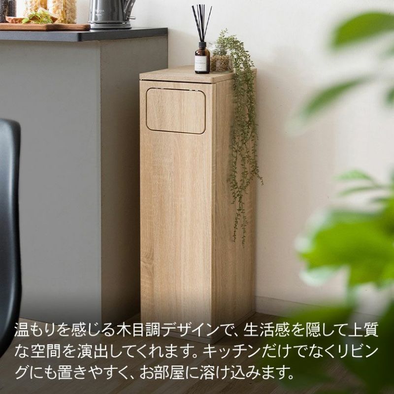ゴミ箱 ダストボックス 木目 二段 分別 Empro エンプロー DB-960