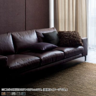 261×261cm ラグ ネオグラス 防炎 アレルブロック 完成品