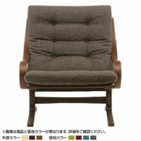 【設置無料】幅79.5cm 1人掛け 冨士ファニチア Agio ワイドアームソファ 布張り 成型合板 軽量｜¥146,000の動画