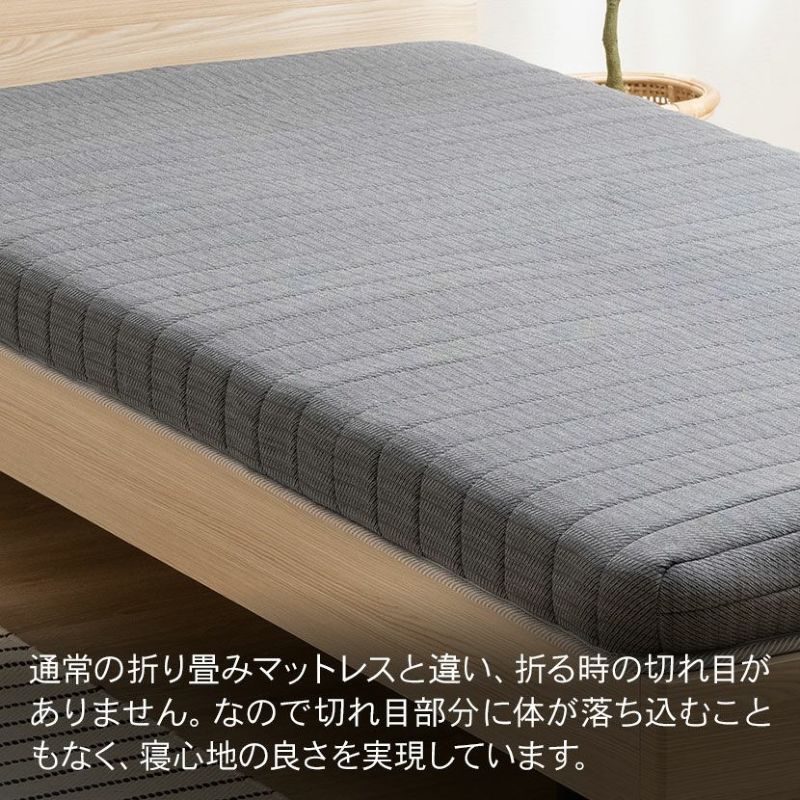 【シングル】【お届けは設置まで】【正規販売店】フランスベッド ベッドフレーム ライフトリートメント LT-125F DR シングル フランスベッド  公式 ゴールドパートナーショップ FC1430 fmmr ※マットレスは別売り | 三河屋
