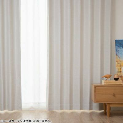 幅100cm / 幅150cm / 幅200cm 遮光 カーテン エコプレーン2 国産 日本製 遮光 1級 2級 防炎 遮熱 形状記憶 無地 ドレープカーテン 16色 全20サイズ