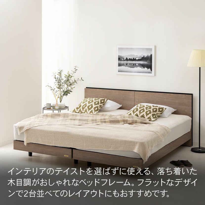 【引き取り限定】フランスベッド　ベッドフレーム　シングルサイズ 設置無料】フランスベッド シングルサイズ ベッド フレーム BG-001 BG