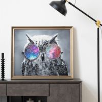 幅66cm クリスタルアート インテリア雑貨 オウルグラス フクロウ 動物 アートパネル 壁掛けアート フレーム付き 壁飾り おしゃれ キラキラ リビング 玄関 完成品｜¥15,900の動画