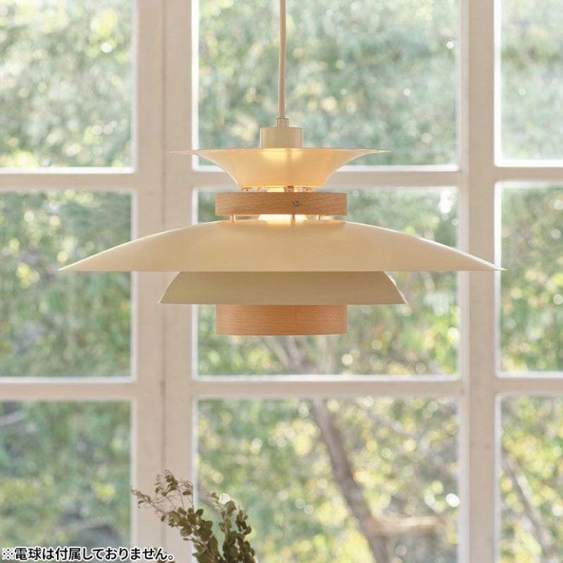 000000016527-01-l.jpg?t=