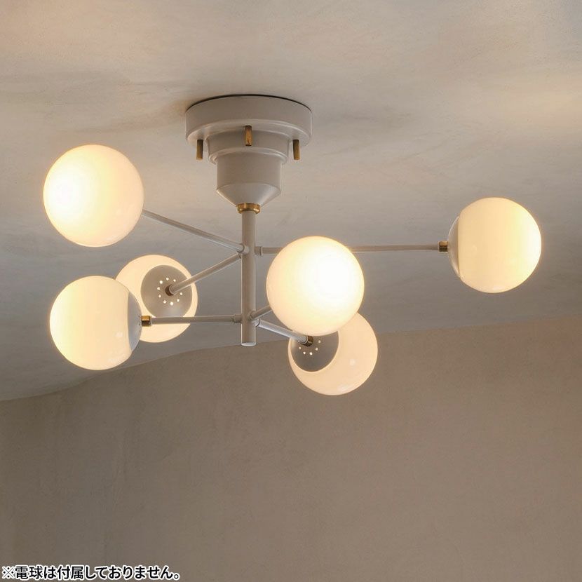 000000016536-01-l.jpg?t=